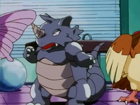 Rudy's Rhydon