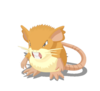 Raticate