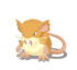 Raticate