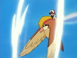 Ash Pidgeot Gust.png