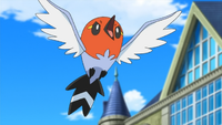 Chester's Fletchling