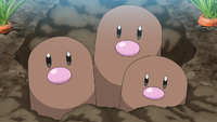 Goh's Dugtrio