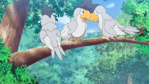 White Plumage Squawkabilly anime.png