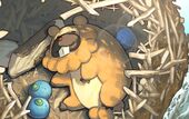 PTCGIC24 Bidoof30.jpg