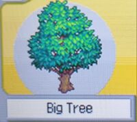 Big Tree (Pokemon Ranger).jpg