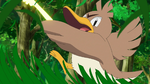 Goh Farfetch'd Cut.png