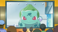 Professor Oak's Bulbasaur