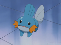 Stephanie's Mudkip