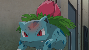 Ivysaur anime.png