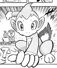 Ryū's Chimchar