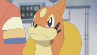 Captain Floatzel.png