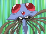 Izabe Island Tentacruel.png