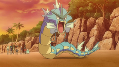 Misty Gyarados.png