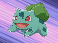 May Bulbasaur.png