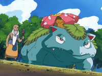 Spenser's Venusaur