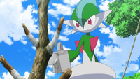 Woodward's Gallade