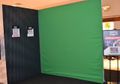 Green Screen for Pictures