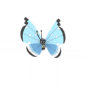 Vivillon