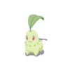 Chikorita