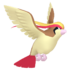 Pidgeot