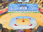 Sinnoh PokéRinger competition.png