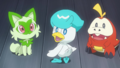 The Paldea region starter Pokémon in the anime