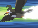 Ash Staravia Quick Attack.png