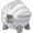 372Shelgon.png