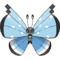 0666Vivillon-Tundra.png