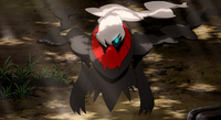 Alice's Darkrai