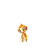 Chimchar