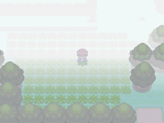 Fog IV Field.png