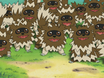 Petalburg Forest Zigzagoon.png