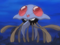 Kim's Tentacruel