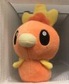 Torchic