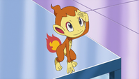 Professor Rowan's Chimchar