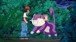 Xatu Forest Rattata.png