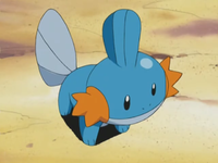 Brock Mudkip.png