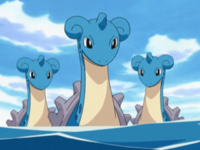 Lapras (×3)