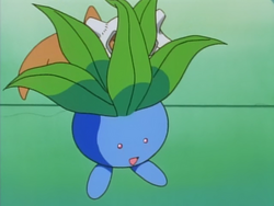 HopHopHop Town Oddish.png