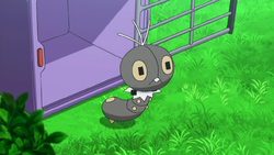 Scatterbug anime.png