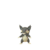 Rattata