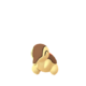 Cyndaquil