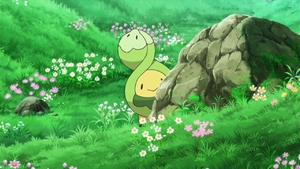 Budew anime.png