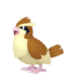 Pidgey