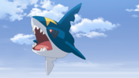 Ludlow's Sharpedo