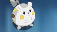 Sophocles's Togedemaru