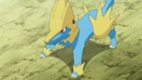 Officer Jenny's Manectric