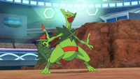 Sawyer's Mega Sceptile