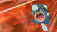 Ash Palpitoad Supersonic.png